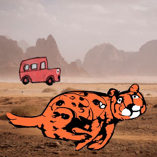 cheetah and the car
