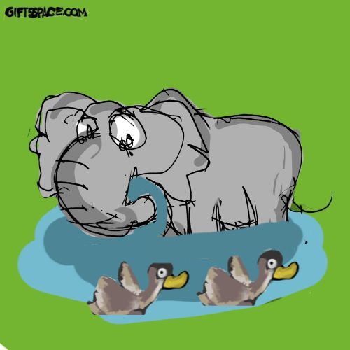Elephant and the ducks in a pond