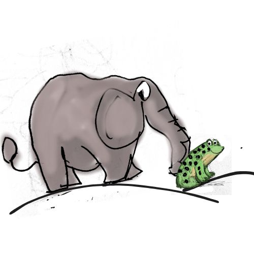 a frog and the elephant funny confrontation cartoon
