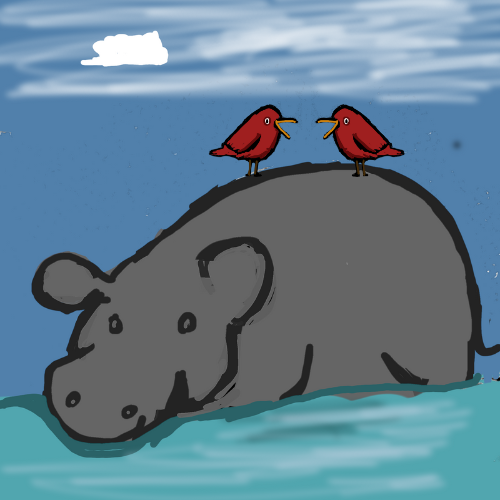 hippo and bird singers