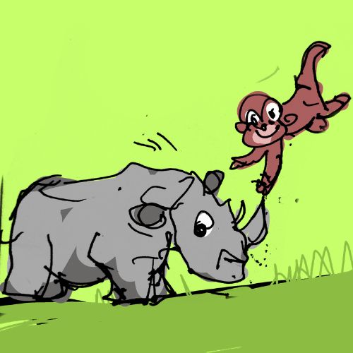 Monkey playing on rhinos hone