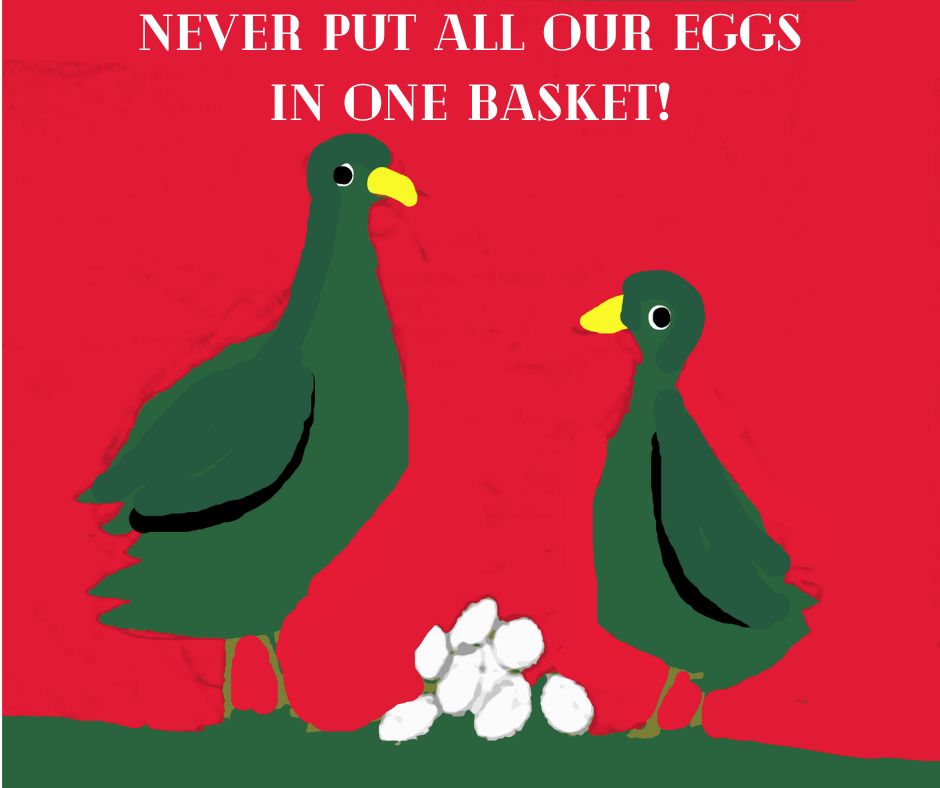 two birds on their eggs