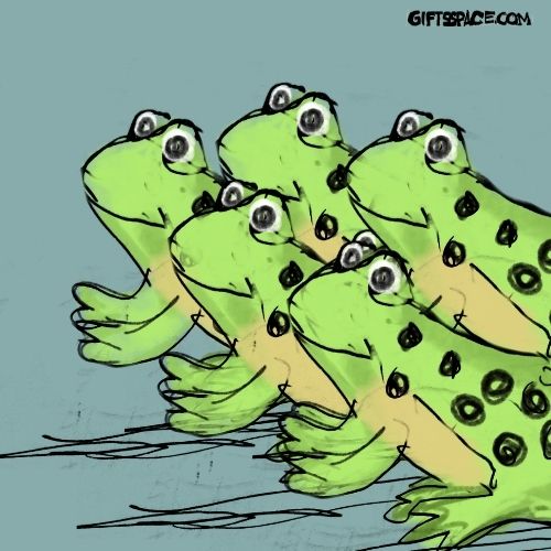 The Great Pond Scurry