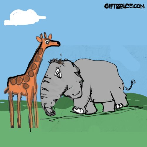 Tall giraffe and the elephant