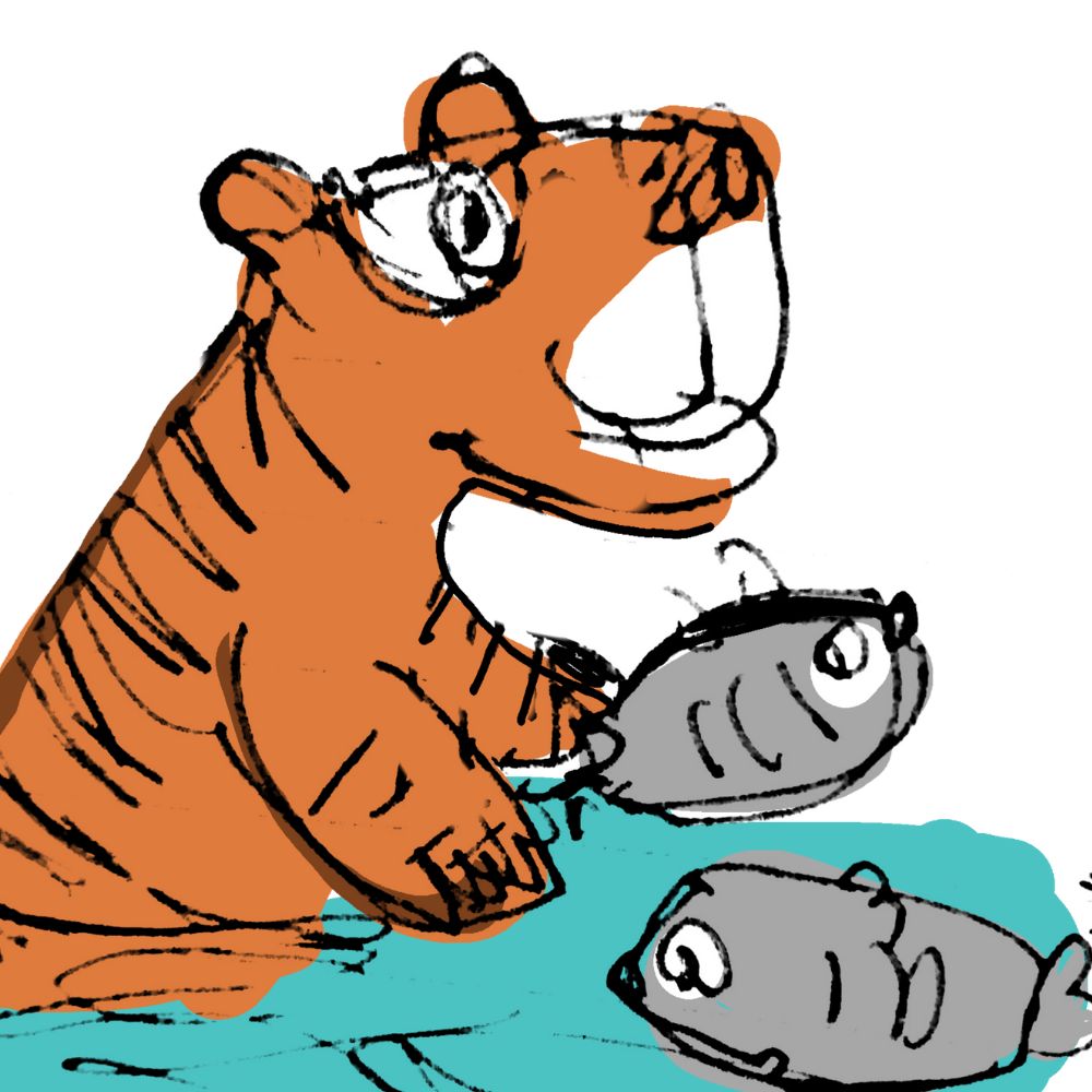 tiger is fishing without any fishing gear
