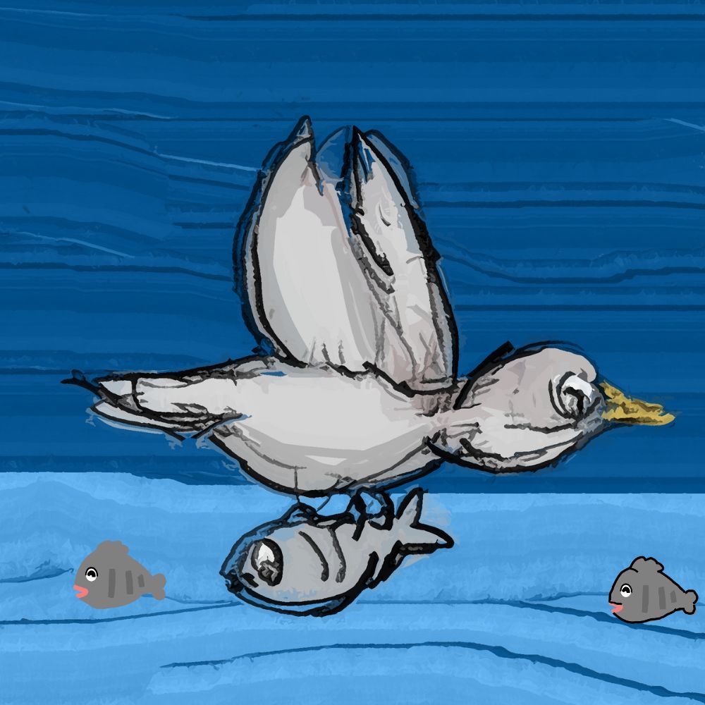 bird snatching fish from the sea