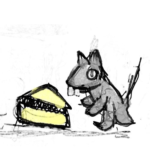 a rat found a piece of cheese