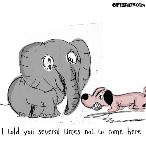 angry dog and the elephant