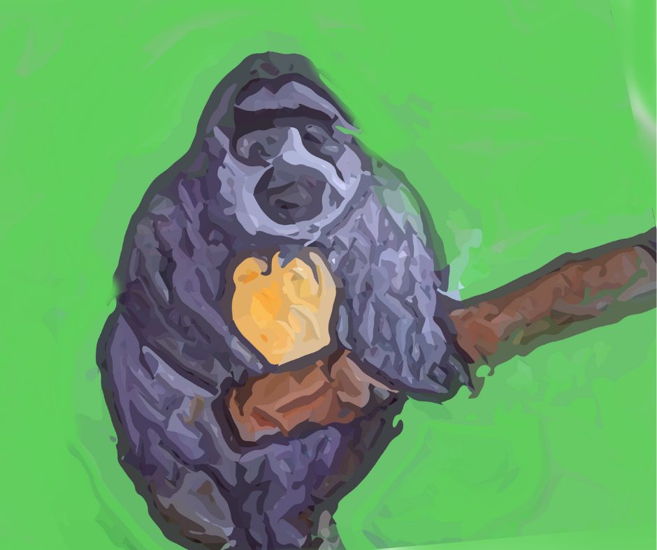 batsman gorilla
