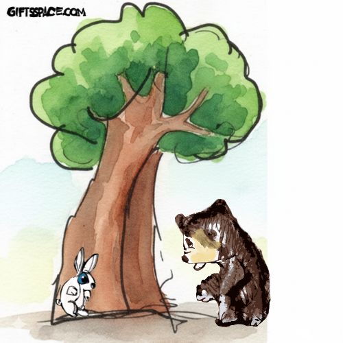 bear and the rabbit meeting