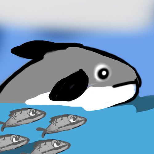 dolphin and the fish