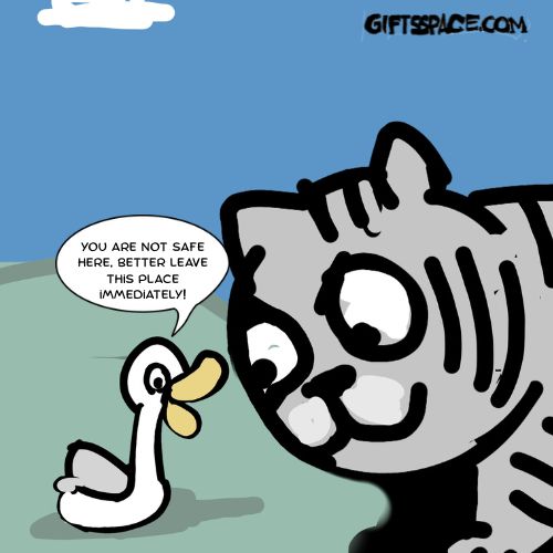 cat and the duck