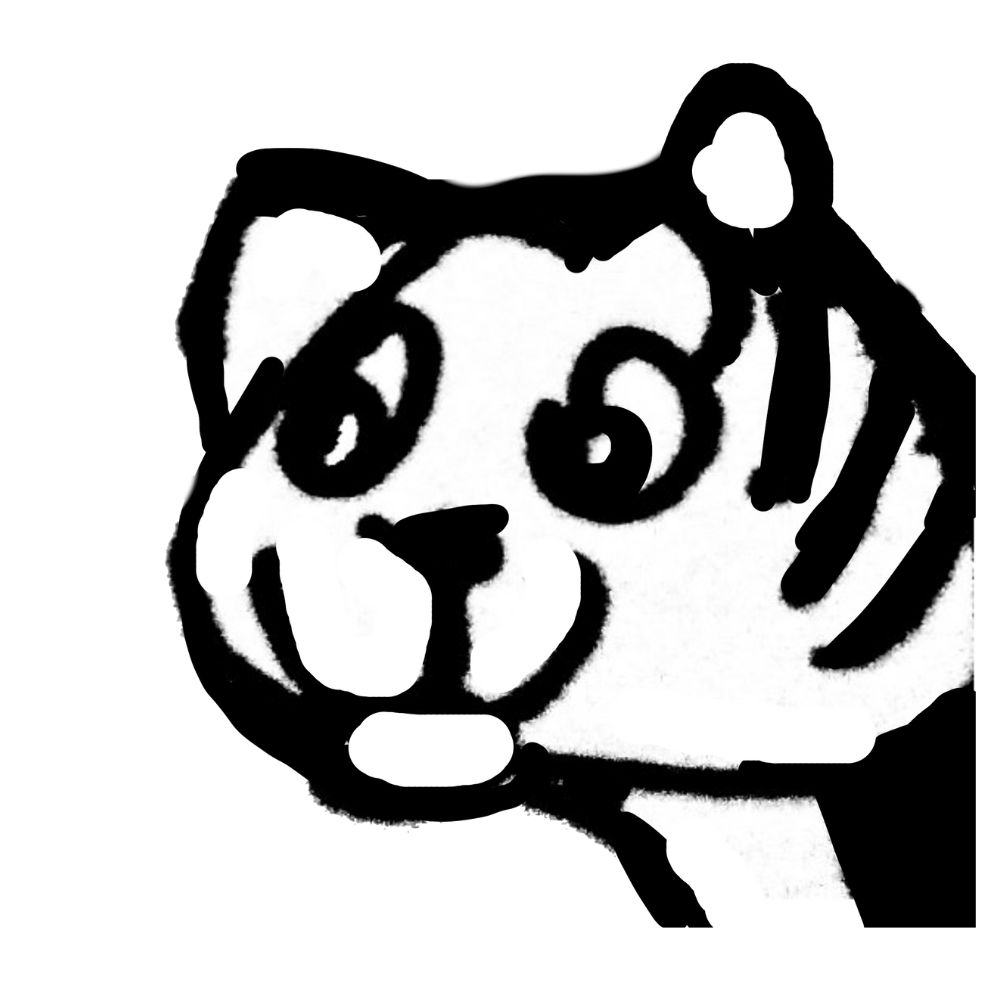 a cat expression