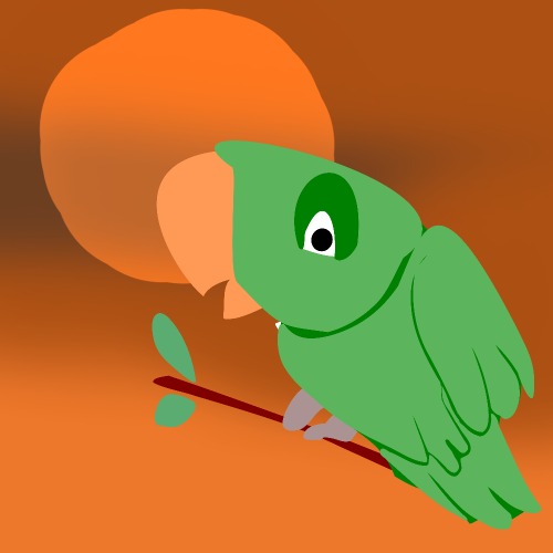 parrot sunset
