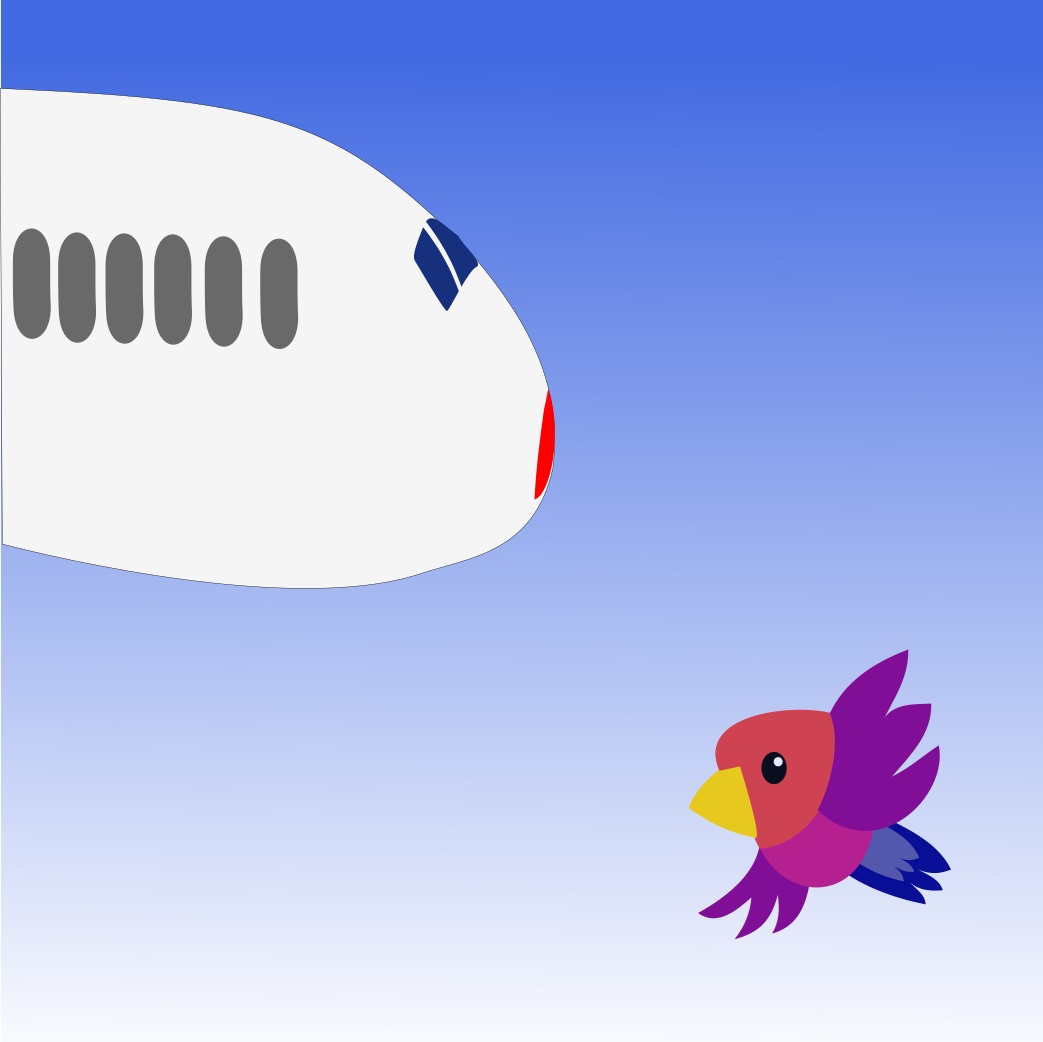 Bird and the airplane