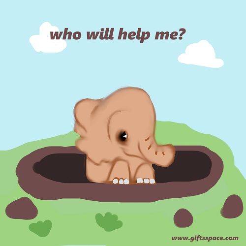 elephant in the pit