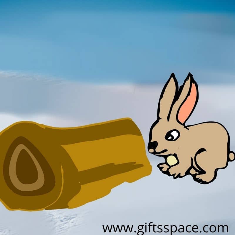 bunny on he wood log