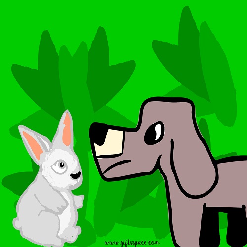 dog and the funny bunny