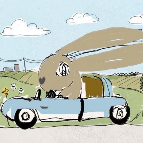 illustration of a funny bunny driving a blue car