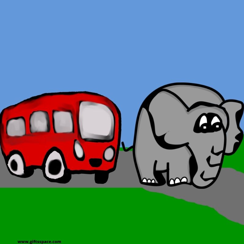 elephant and the bus