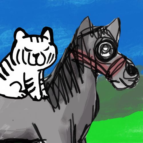 cat and the horse