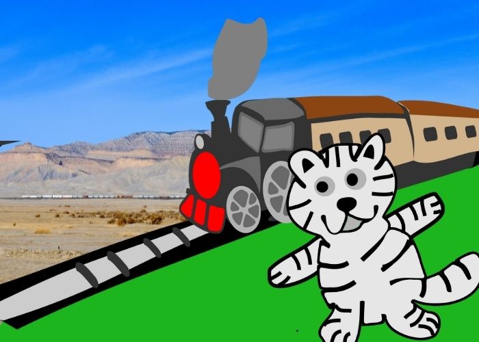 cat and the model train