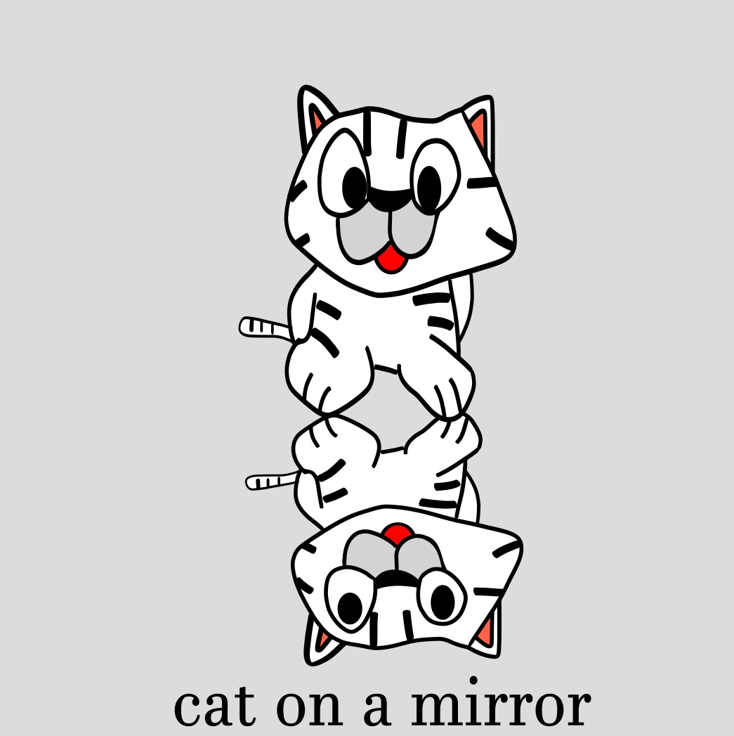 cat on the mirror