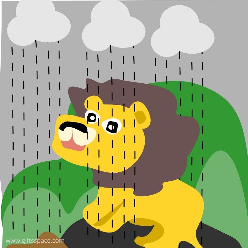 lion in the rain