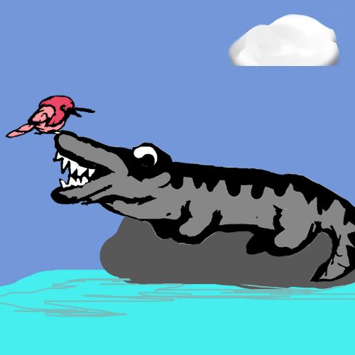 crocodile and the bird story