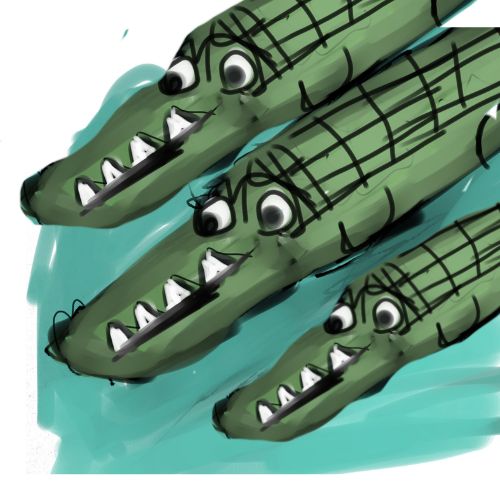 three crocs racing in the river