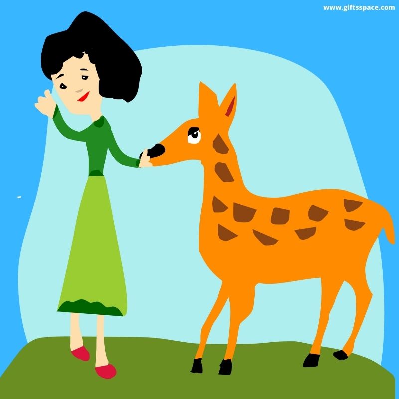 deer and the girl