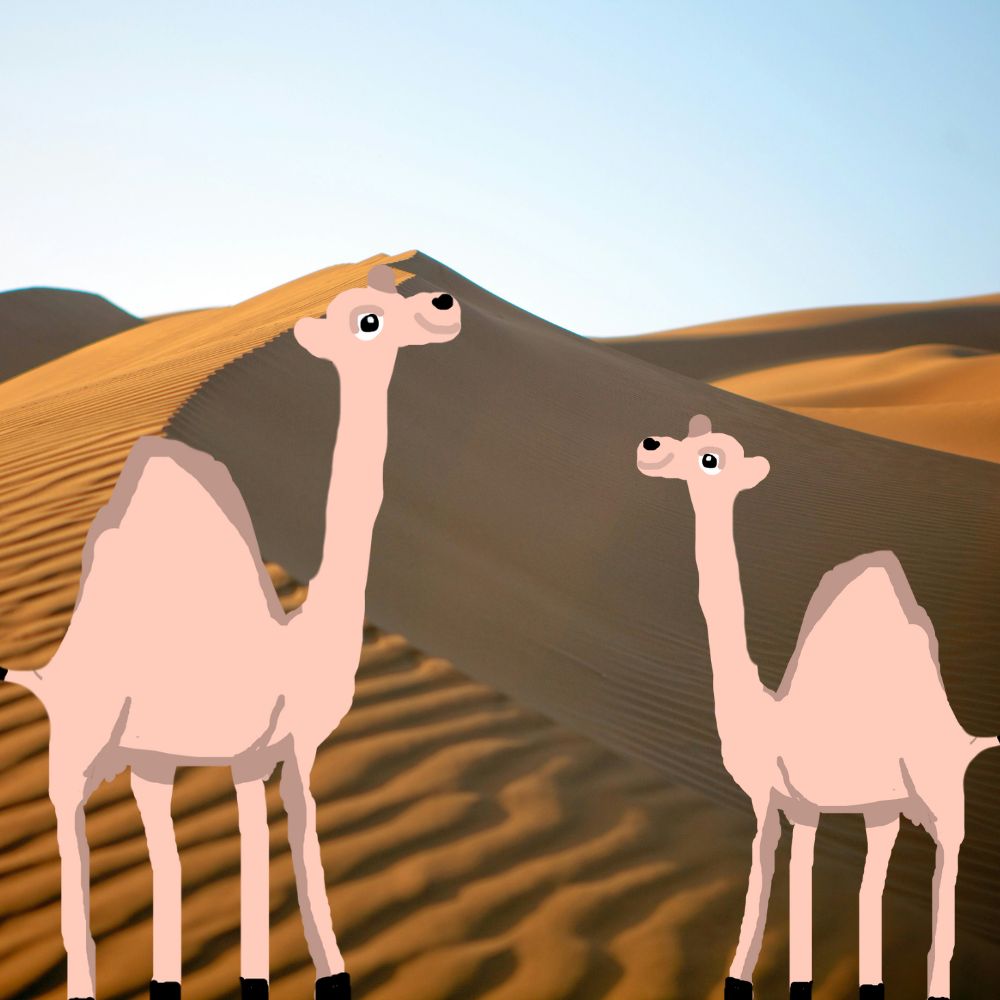 two camels meeting in the desert