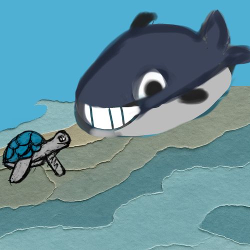 blue whale and sea turtle meeting