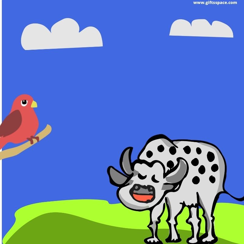 cow and the bird