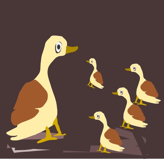 duck meeting
