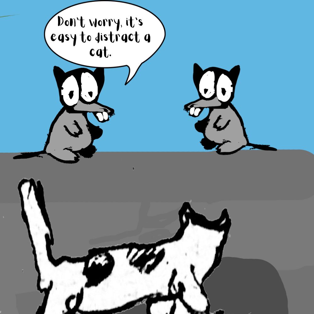 Rats and cat cartoon