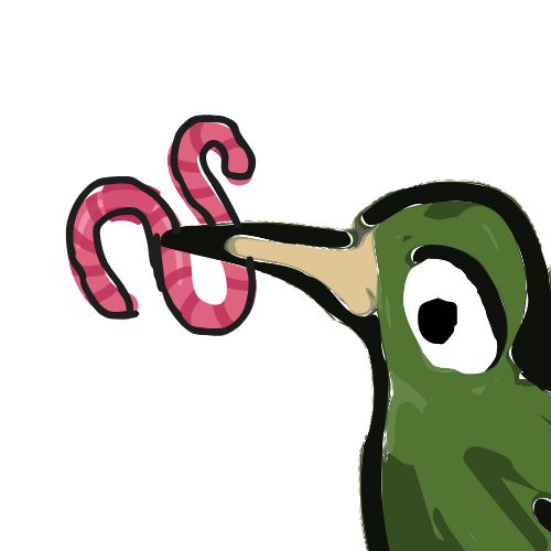 bird eating a worm