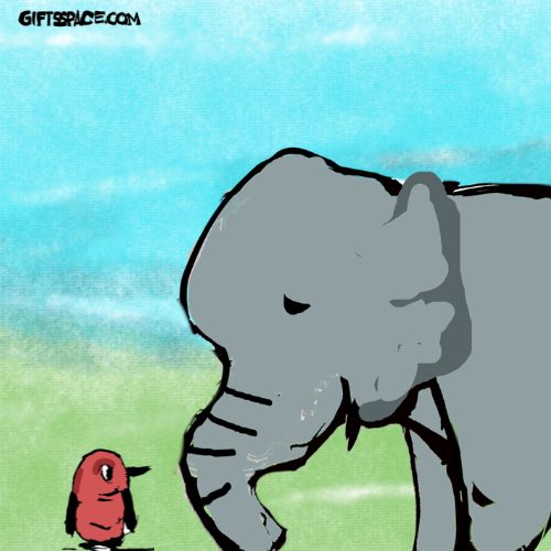 Giving The Little Bird Confidence To Fly