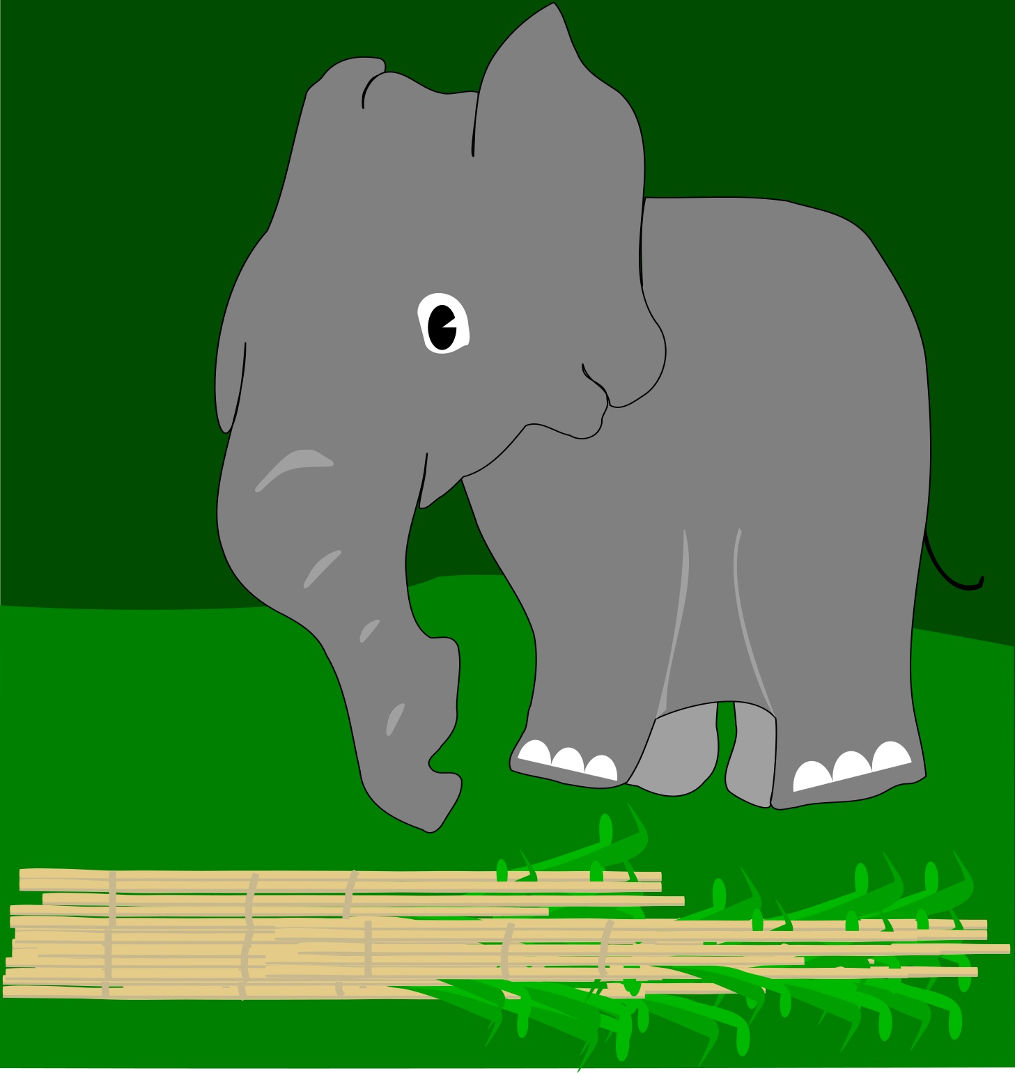 elephant eats sugarcane