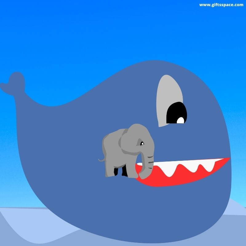 blue whale and the elephant
