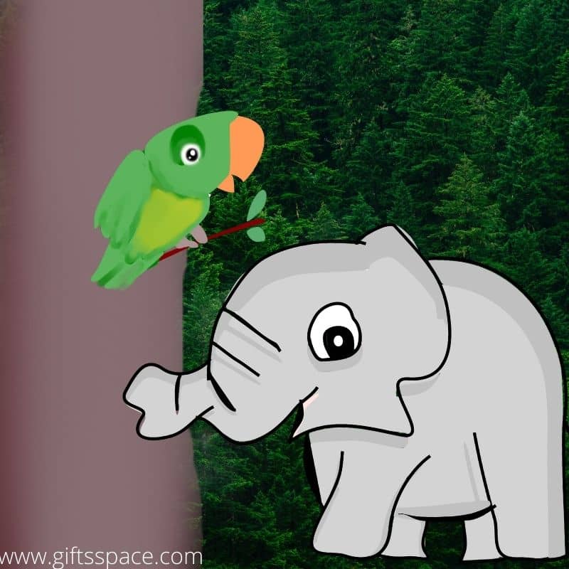 Happy Elephant And The Parrot