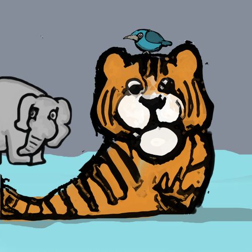 tiger swimming in the river