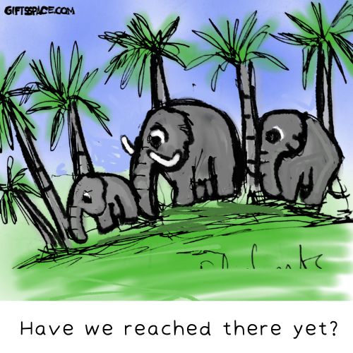 elephant family walking