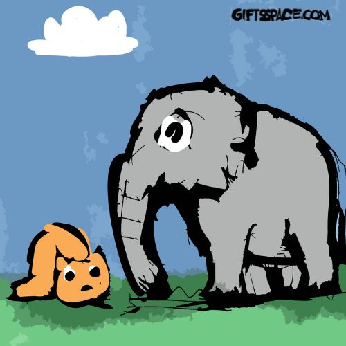 fox cub and the elephant