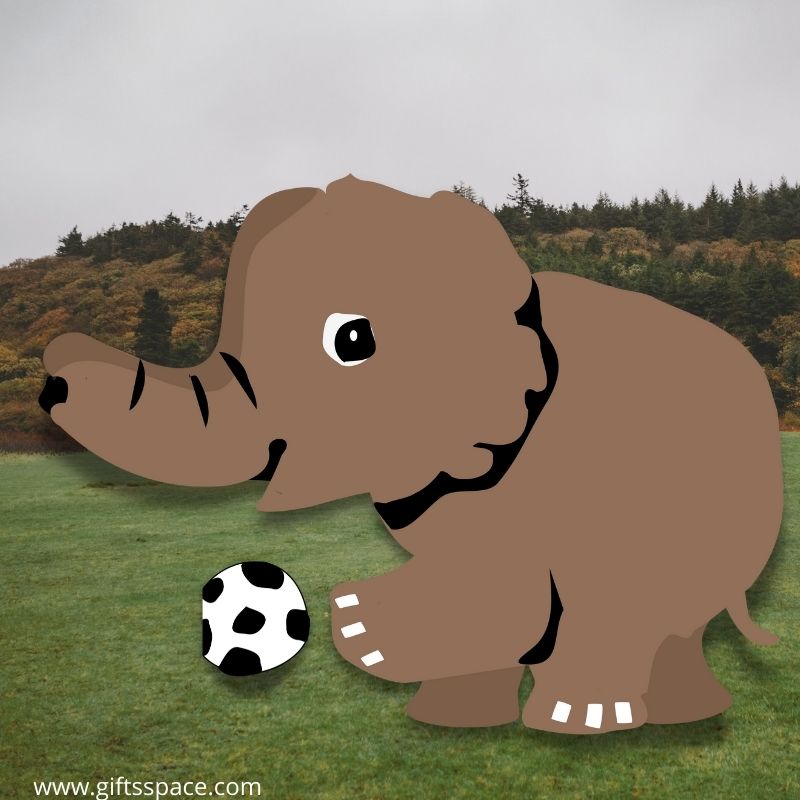 baby elephant playing football
