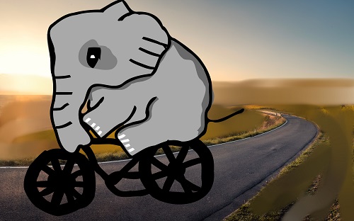 elephant is riding a cycle