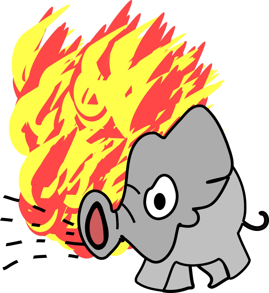 elephant fire fighter