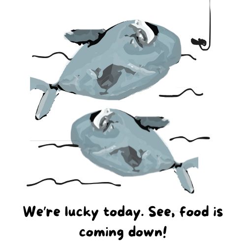 two fish swimming around