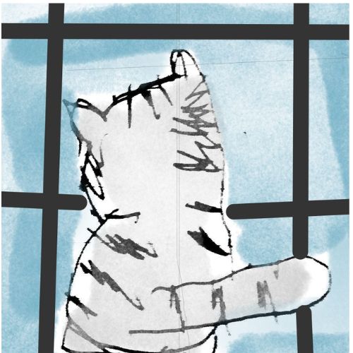 cat sitting near the window illustration