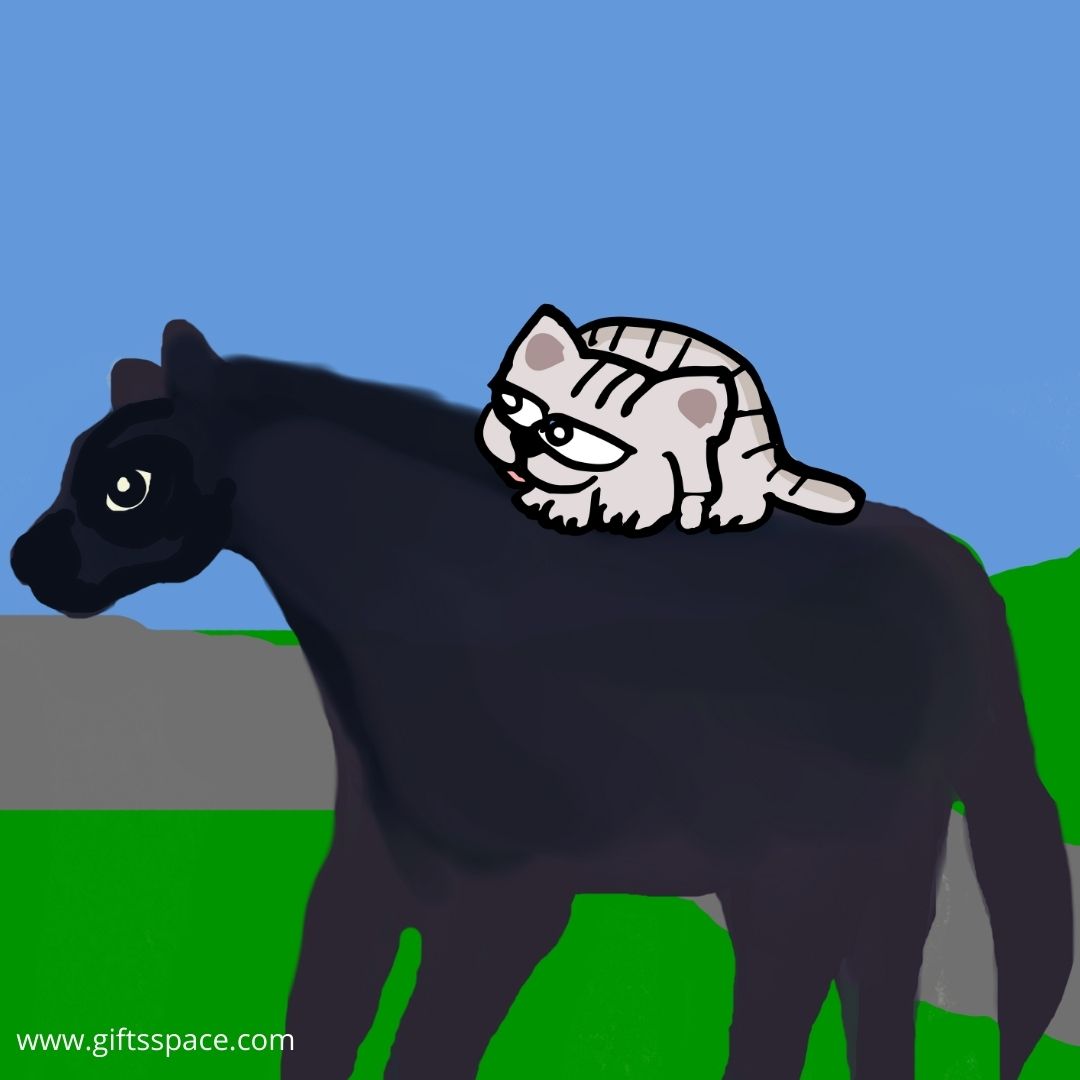 cat on the horseback